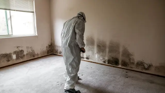 Worker in a protective suit inspecting mold along the lower walls of an empty room