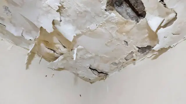 Water-damaged ceiling corner with peeling paint and plaster