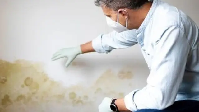 Man in a mask pressing a stained wall to check for moisture